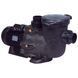 Насос Hayward Tristar SP32303 (380 В, 32.5 м3/год, 3 HP) 6152 фото 1