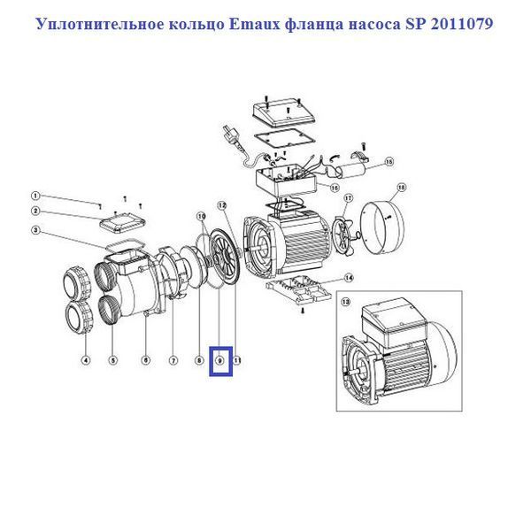 Ущільнювальне кільце Emaux фланця насосу SP 2011079 3301 фото
