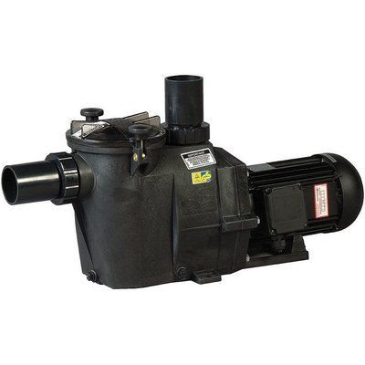 Насос Hayward RS II RS3008EV1 (220 В, 12.5 м3/год, 0.75 HP) 6101 фото