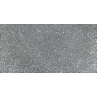 Плитка для бассейна Aquaviva Granito Gray, 298x598x9.2 мм 6424 фото