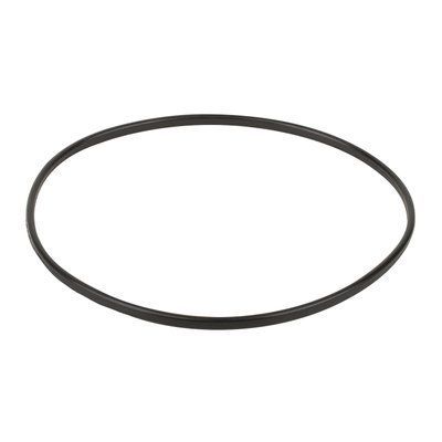 Ущільнювальне кільце до притискного фланця корпуса насоса Emaux SC (02011089) 2647 фото