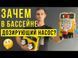 Система мембранних дозуючих насосів Aquaviva pH/Rx 5 л/год + набори pH, Rx, WiFi 19866 фото 2