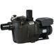 Насос Hayward RS II RS3020VSTD (220 В, 25 м3/год, 2 HP), зі змінною швидкістю 4539 фото 1